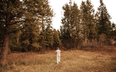 Idaho Forest Portraits