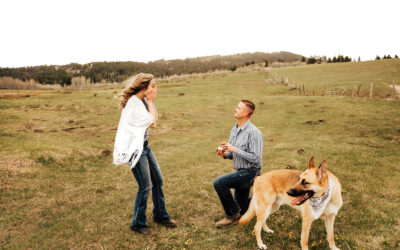 Gray + Travis – Proposal