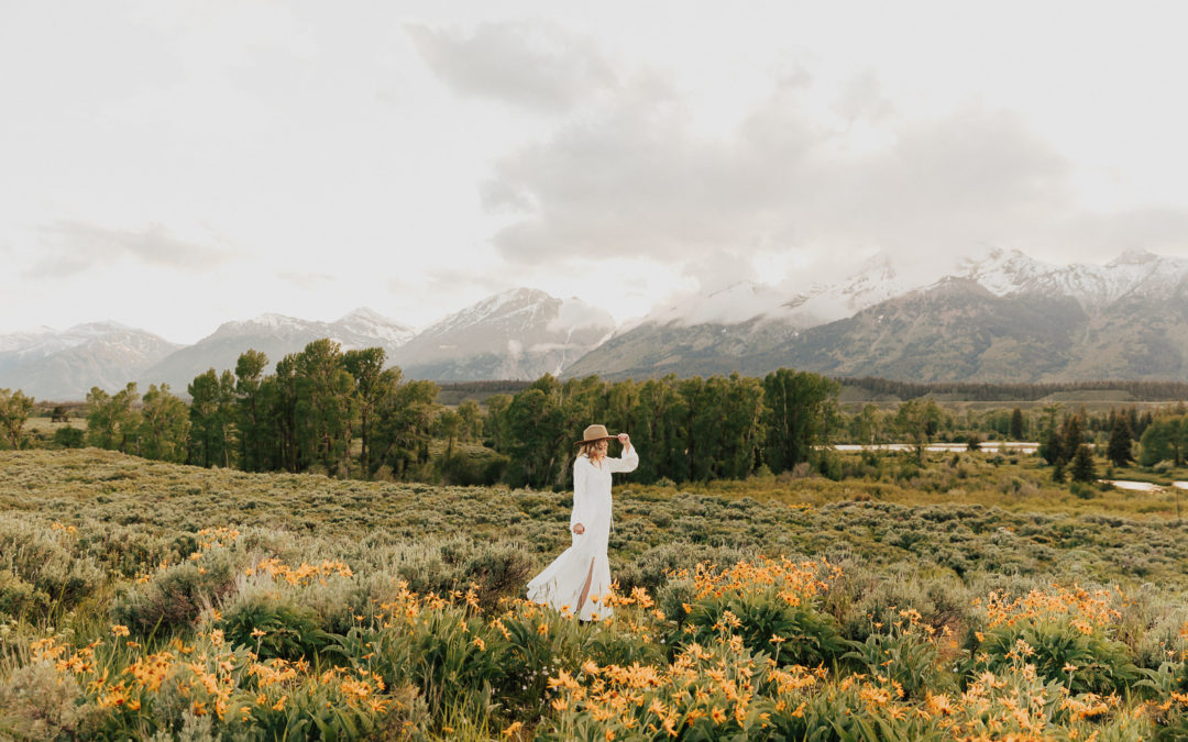 Grand Teton National Park Wildflowers