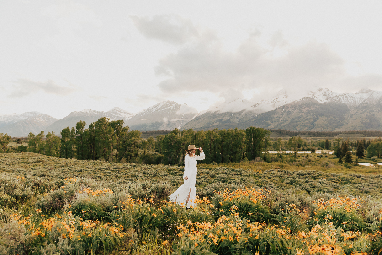 Grand Teton National Park Wildflowers