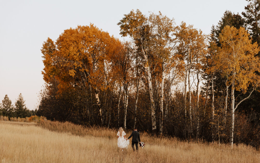 Fall Mountain Field | Bridal Session