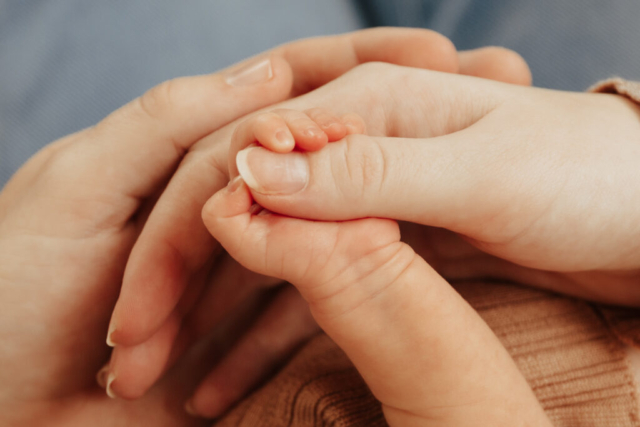 Details of a newborn baby’s hands in their parents. Photography by Hannah Lylene Photography.