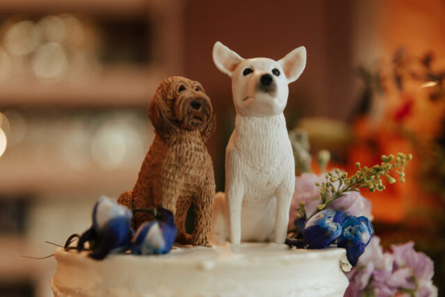 Hannah-Lylene-Dallas-Fort-Worth-Photographer-7779