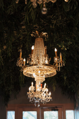 Hannah-Lylene-Dallas-Fort-Worth-Photographer-7881