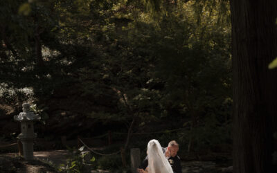 Fort Worth Courthouse + FWBG