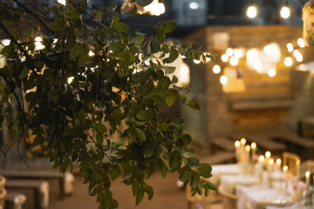 Documentary-style, true-to-color wedding photos from a unique Texas wedding at The Wild Detectives Bookstore in Dallas and The Thompson Hotel. Captured by a DFW wedding photographer, highlighting candid moments and cinematic charm.