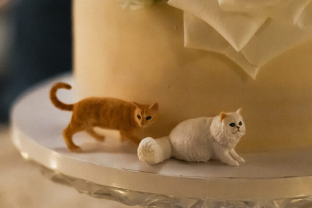 Documentary-style, true-to-color wedding photos from a unique Texas wedding at The Wild Detectives Bookstore in Dallas and The Thompson Hotel. Captured by a DFW wedding photographer, highlighting candid moments and cinematic charm.