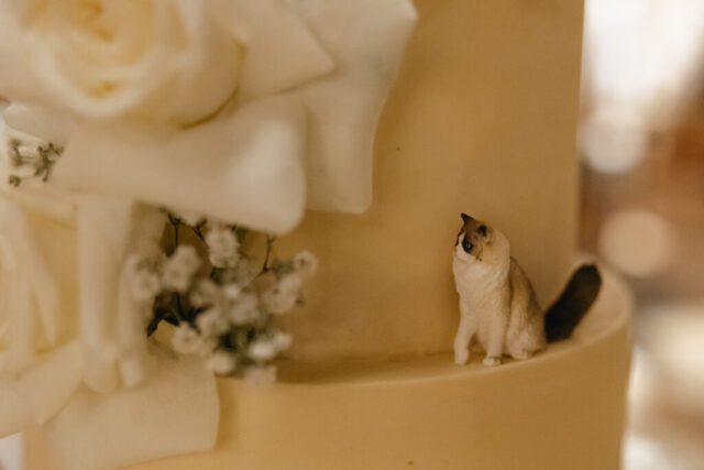 Documentary-style, true-to-color wedding photos from a unique Texas wedding at The Wild Detectives Bookstore in Dallas and The Thompson Hotel. Captured by a DFW wedding photographer, highlighting candid moments and cinematic charm.