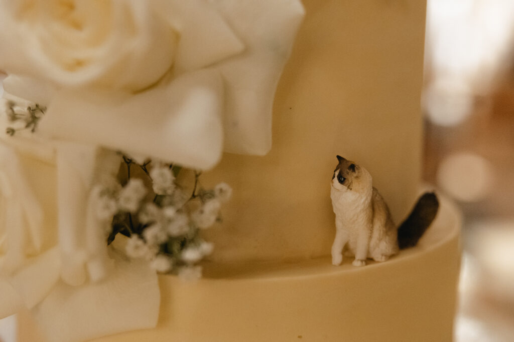 Documentary-style, true-to-color wedding photos from a unique Texas wedding at The Wild Detectives Bookstore in Dallas and The Thompson Hotel. Captured by a DFW wedding photographer, highlighting candid moments and cinematic charm.