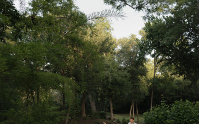 DFW Wedding Photographer – Grapevine Garden Engagement