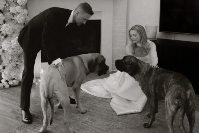 A bride and groom, take couples portraits in their modern aesthetic home at their private wedding ceremony.Timeless indoor wedding in Dallas, captured with a refined, editorial approach by DFW documentary wedding photographer.