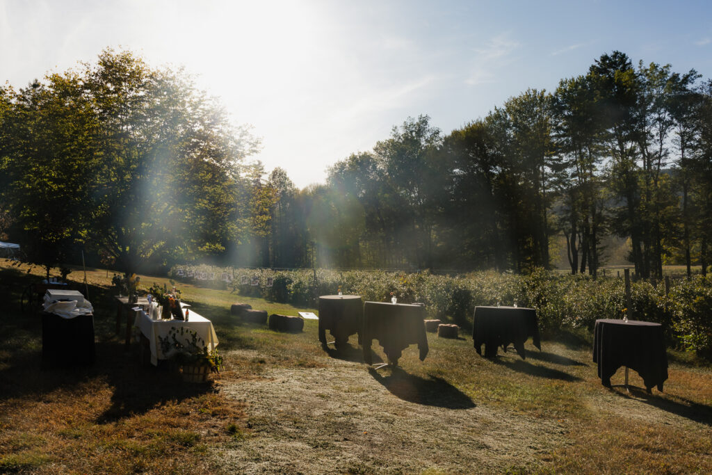 Outdoor event setup with tables in a grassy field, surrounded by trees and sunlight.