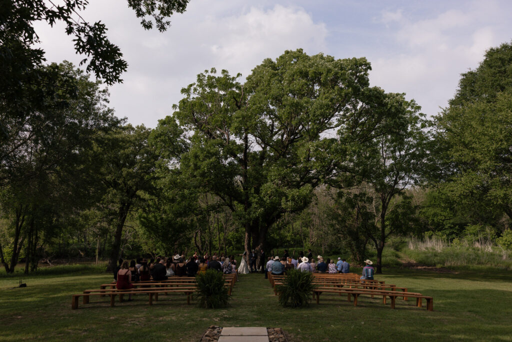 Outdoor wedding ceremony under large trees with guests seated on wooden benches, celebrating in a natural setting.